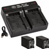 BM 2 BP-828 Batteries and Dual Bay Charger for Canon VIXIA HFG60 HFG50 XA40 XA45 XA50 XA55 GX10 HFG20 HFG21 HFG30 HFG40 XA15 XA20 XA25 XF400 XF405