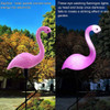 Solar Flamingo Light