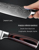Professional Chef Knife Set