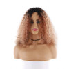 Afro Kinky Curly Long Human Hair Wigs For Black Women Pre Plucked Hairline