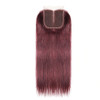 lumiere color 99j Straight Hair 4 Bundles With 4x4 Lace Closure Pre Colored human hair