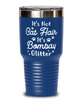It's Not Cat Hair It's Bombay Glitter 30 oz Blue Drink Tumbler w/ Lid, Gift For Bombay Cat Moms, Tumblers & Water Glasses Gift For Her, Mother's Day Present Ideas For Bombay Cat Moms