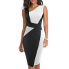 Audrey Sleeveless Sheath Dress