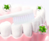 BREYLEE Teeth Whitening Powder Toothpaste Dental Teeth Cleaning Oral Hygiene Remove Plaque Tooth Whiten Brighten Powder TSLM1 (01)
