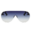 Women's Oversized Aviator 100% UV Sunglasses 4 color choices