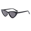 Retro Cat Eye Sunglasses