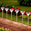 Solar Pathway Lights