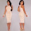Women's Sleeveless O-Neck Lace Bodycon Dress