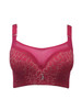 Big Size Lace Bralette Adjusted Push Up Bra