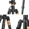 Professional Tripod / Monopod with 360° Fluid Ball Head Mount - Aluminum Magnesium Alloy