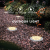 12Pcs LED Solar Power Waterproof Garden Lights for Outdoor