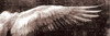 Angel Wings Vintage Wall Posters