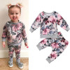 2pcs Newborn Baby Girls Clothes Hoodies Tops+Floral Pants Outfits Long Sleeve Baby Girl Winter Clothes Pajamas