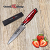 Damascus Knife Set 2 pcs Damascus Japanese Stainless Steel VG10 Chef Utility Knives Cooking Kitchen Chef Knife Pro Tools NEW