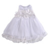 Cute Kids Girls Princess Pink White Dresses Pageant Toddler Kids Baby Girl Sleeveless Flower Tulle Petal Party Ball Gown Dresses