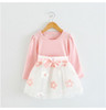 Cute Baby Girl Dress Cotton Children Kids Baby Girls Dresses One Piece Baby Autumn Clothing For School Casual Wear Clothes Girl