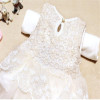 Baby Kids Girls Lace Bowknot Flower Dress Princess Dress Formal Party Tutu Dress Children Clothes 5 Colors