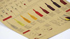 Wall sticker Wine encyclopedia of graphic evolutionary history Bar counter adornment kitchen retro map kraft paper posters Wall sticker Wine encyclopedia of graphic evolutionary history Bar counter adornment kitchen retro map kraft paper posters