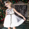 ChildDkivy 3-12Y Girls Lace Dress Princess Dress for Girls Clothes Baby Girls Dress Summer 2017 Kids Dresses Children Clothing ChildDkivy 3-12Y Girls Lace Dress Princess Dress for Girls Clothes Baby Girls Dress Summer 2017 Kids Dresses Children Clothing