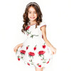 ChildDkivy 3-12 Years Girls Lace Princess Dress 2017 Kids Summer Rose Dress for Baby Girls Children Fashion Party Clothes ChildDkivy 3-12 Years Girls Lace Princess Dress 2017 Kids Summer Rose Dress for Baby Girls Children Fashion Party Clothes