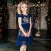 ChildDkivy 2-12 Year Kids Princess Fashion Dress for Baby Girls Girls Lace Summer Dress 2017 Children Party Costumes ChildDkivy 2-12 Year Kids Princess Fashion Dress for Baby Girls Girls Lace Summer Dress 2017 Children Party Costumes