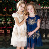 ChildDkivy 2-12 Year Kids Princess Fashion Dress for Baby Girls Girls Lace Summer Dress 2017 Children Party Costumes ChildDkivy 2-12 Year Kids Princess Fashion Dress for Baby Girls Girls Lace Summer Dress 2017 Children Party Costumes