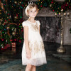 ChildDkivy 2-12 Year Kids Princess Fashion Dress for Baby Girls Girls Lace Summer Dress 2017 Children Party Costumes ChildDkivy 2-12 Year Kids Princess Fashion Dress for Baby Girls Girls Lace Summer Dress 2017 Children Party Costumes