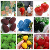 Vegetables and fruit seeds Strawberry seeds 1800 pieces seeds of each color seeds grain Bonsai plants Seeds for home &amp; garden