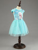 Berngi New Elsa Anna Dress Girls Dress Cosplay Party Dresses Princess Children Baby Kids Baby Vestidos toddler Dresses