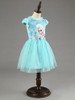Berngi New Elsa Anna Dress Girls Dress Cosplay Party Dresses Princess Children Baby Kids Baby Vestidos toddler Dresses
