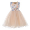 Girls Dress 3D Flower Children Wedding Party Ball Gown Butterfly Baby Girl Prom Dresses Princess Kids Birthday Frocks for Girl