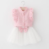 Girls Dress 2018 Brand Kids Clothes Butterfly Sleeve Letter T-shirt+Floral Voile Dress 2Pcs for Clothing Sets Children Dress