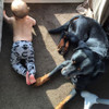 Newborn Baby Boy Girl Kids Monster Bottom Harem Pants Leggings Trousers 0-3Y Cotton Infant Novelty Children Loose Pants