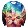 Mr.1991INC harajuku hoodies for men/women funny print Lovely ice cream cone cat pullover 3d sweatshirts autumn tops clothes