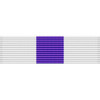 Nevada National Guard Base Honor Guard Ribbon