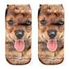 kancoold Coolbeener 3D Printed Animal Women Casual Socks Cute Cat Unisex Low Cut Ankle Socks dec28