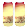 2018 New Fashion Cute Popular Funny Unisex Short Socks 3D Cat Printed Anklet Socks Casual Socks With High Quality hot Sale #30