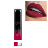 Pudaier Makeup Lip Gloss Cosmetics Long Lasting Pigment Metallic Sexy Red Lip Tint Velvet Matte Nude Liquid Lipstick Maquiagem