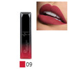 Pudaier Makeup Lip Gloss Cosmetics Long Lasting Pigment Metallic Sexy Red Lip Tint Velvet Matte Nude Liquid Lipstick Maquiagem