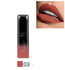 Pudaier Makeup Lip Gloss Cosmetics Long Lasting Pigment Metallic Sexy Red Lip Tint Velvet Matte Nude Liquid Lipstick Maquiagem