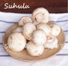 60 pcs Rare White Mushroom Seeds Organic Delicious Healthy Geen Vegetables Bonsai Seeds Diy Home Garden Plants Easy Grow