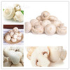 60 pcs Rare White Mushroom Seeds Organic Delicious Healthy Geen Vegetables Bonsai Seeds Diy Home Garden Plants Easy Grow