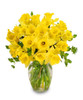 Best-Selling!Beautiful Narcissus Flower Balcony Plants Daffodil Seeds Absorption Radiation Narcissus Tazetta Seeds,100 PCS