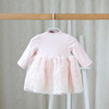 2016 autumn and spring sweet children's wear girls long sleeved dress clothes baby Lace Princess Dress for clothes baby girls