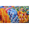 170X50CM 5D Round Diamond Painting Cross Stitch kit Butterfly flowers pictures for Diamond embroidery Diy Diamond mosaic flowers