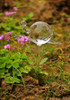 Glass Snail Watering Cans bird Sprayers drip irrigation emitter automatic