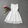 2017 Baby Girl Floral Lace Princess Tutu Dress Wedding Christening Gown Dress Girls Clothes For Kids Party Wear Meninas Vestidos