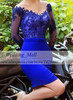 Royal Blue Short Cocktail Party Dresses With Long Sleeves Lace 2017 Cheap V-Neck Spandex Mini Prom Vestidos  Curtos Petite Gowns