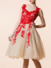 Lace Applique A-line Mini Evening Dress
