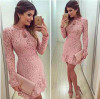 2016 Autumn Fashion Casual Womens Sexy Dresses Party Night Club Dress Fall Long Sleeve Pink Lace Dress Brasil Vestidos De Festa 2016 Autumn Fashion Casual Womens Sexy Dresses Party Night Club Dress Fall Long Sleeve Pink Lace Dress Brasil Vestidos De Festa
